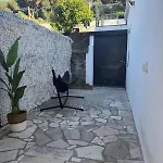 Hébergement de vacances Alex *