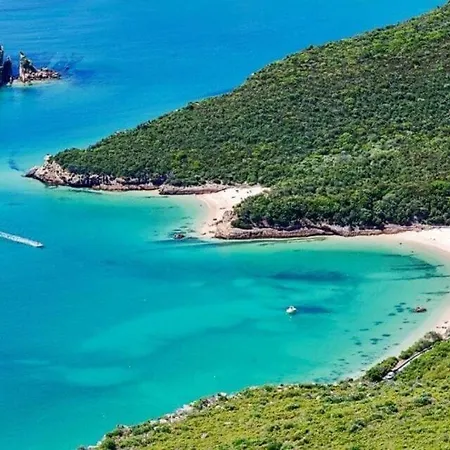 Alex * 奎恩塔杜安乔